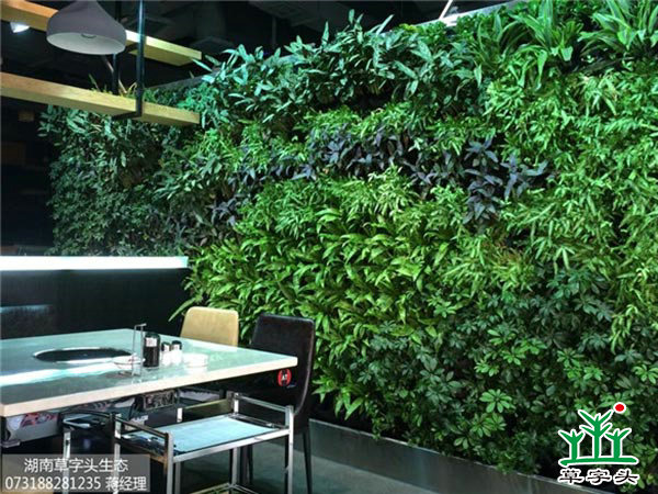 辦公空間立體綠化 辦公空間立體綠化